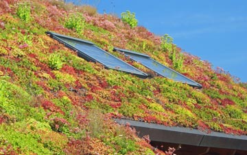 Oakthorpe living roof systems