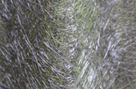 Oakthorpe fibreglass roof work